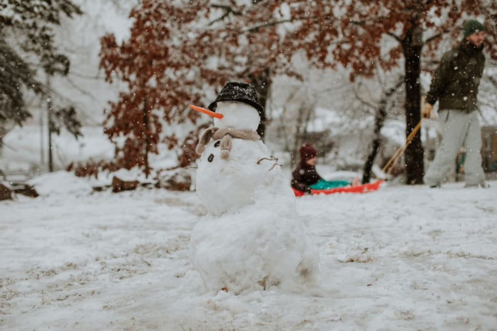 Winter Waldorf Playlist