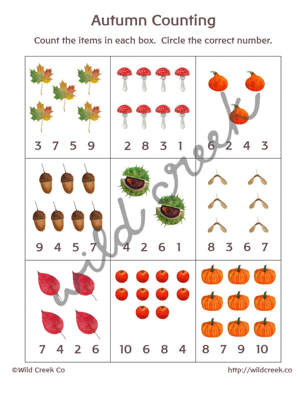 Preschool + Kindergarten Autumn Activity Pack Printable - Wild Creek Co