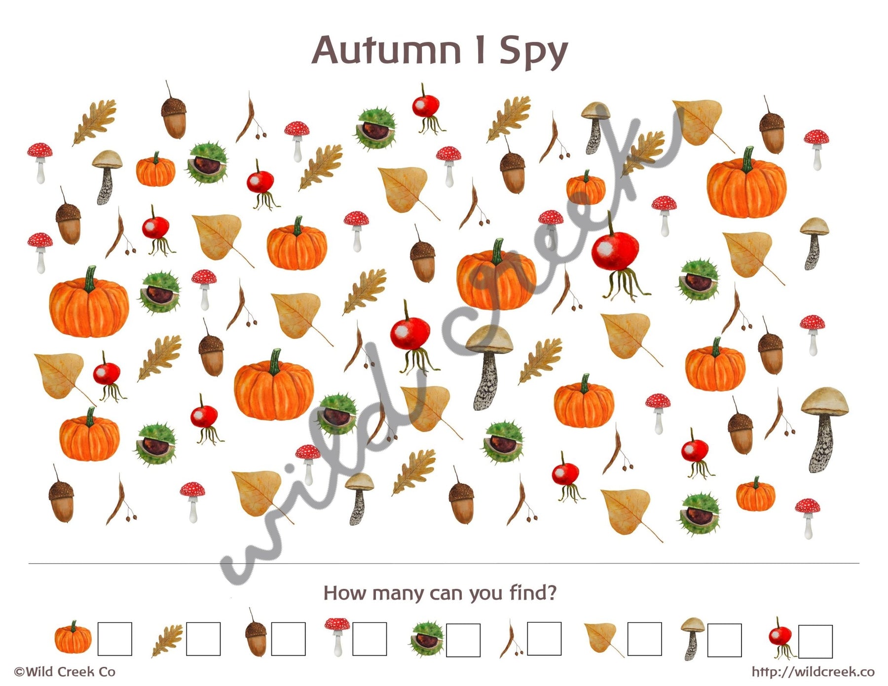 Early Learning– Wild Creek Co