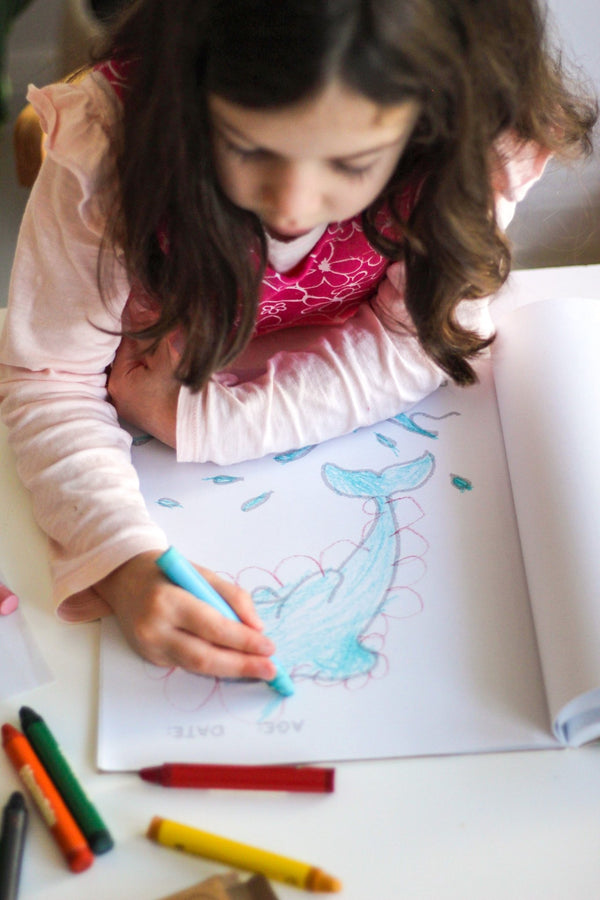 Honeysticks North American Book + Thins Coloring Set - Wild Creek Co